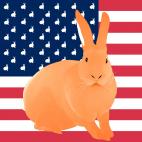 MANDARINE-FLAG VERT LAIT DE MENTHE FLAG rabbit flag Showroom - Inkjet on plexi, limited editions, numbered and signed. Wildlife painting Art and decoration. Click to select an image, organise your own set, order from the painter on line